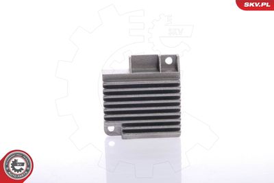 Ignition Coil ESEN SKV 03SKV900