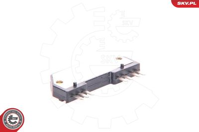Ignition Coil ESEN SKV 03SKV907