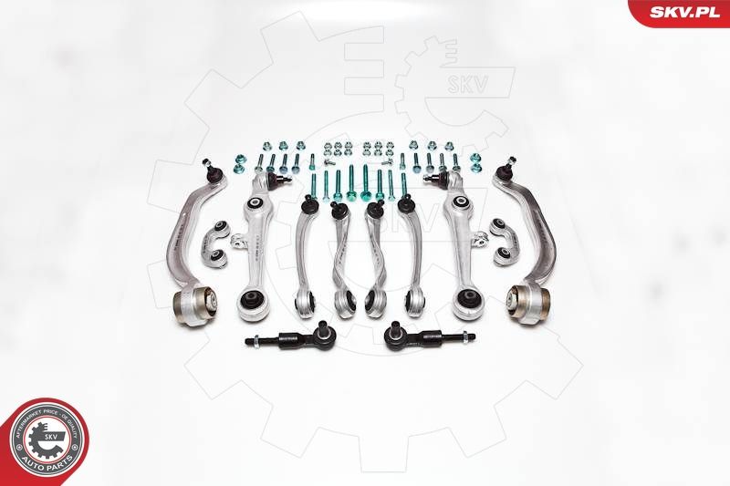 ESEN SKV 04SKV100 Repair Kit, control arm