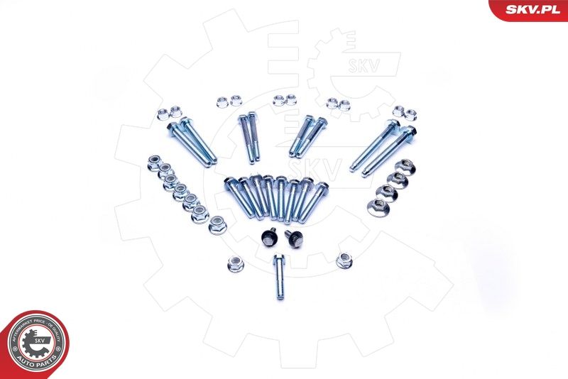 ESEN SKV 04SKV111 Fastening Bolt, control arm