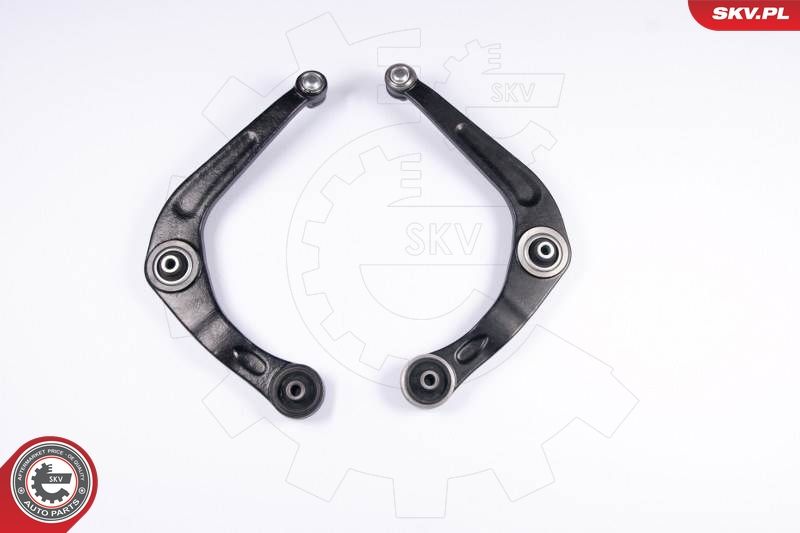ESEN SKV 04SKV180 Repair Kit, control arm