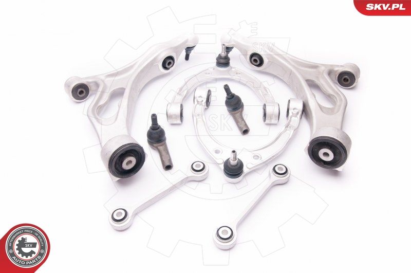 ESEN SKV 04SKV200 Repair Kit, control arm
