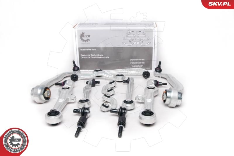 ESEN SKV 04SKV250 Repair Kit, control arm