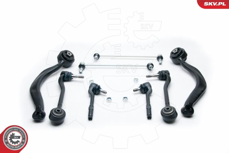 ESEN SKV 04SKV260 Repair Kit, control arm