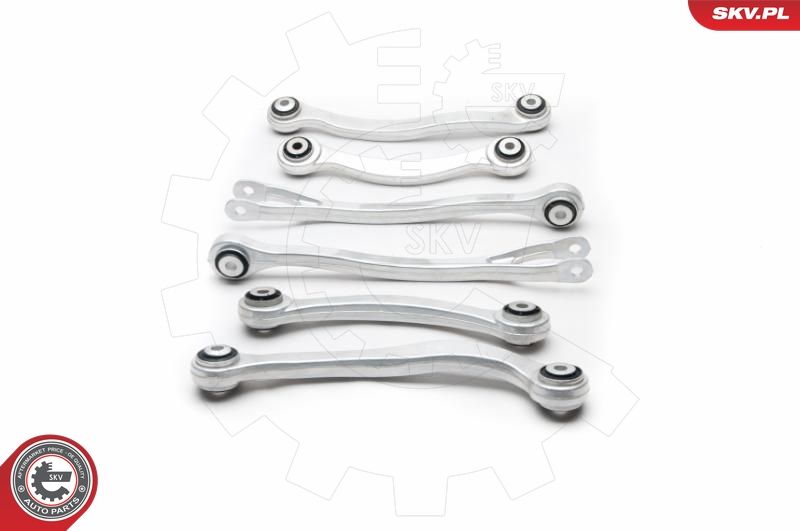ESEN SKV 04SKV290 Repair Kit, control arm
