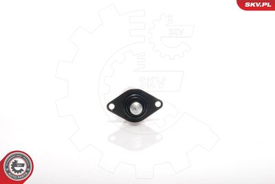 Idle Control Valve, air supply ESEN SKV 08SKV008
