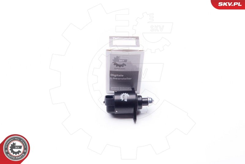 ESEN SKV 08SKV013 Idle Control Valve, air supply