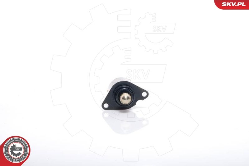 ESEN SKV 08SKV017 Idle Control Valve, air supply