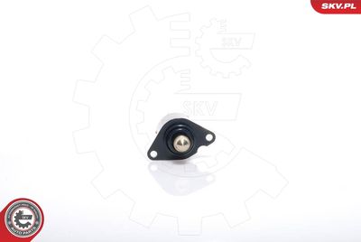 Idle Control Valve, air supply ESEN SKV 08SKV017