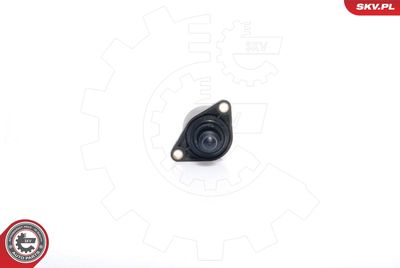 Idle Control Valve, air supply ESEN SKV 08SKV022