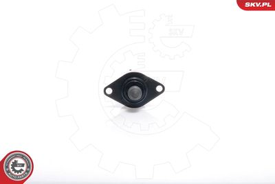 Idle Control Valve, air supply ESEN SKV 08SKV033