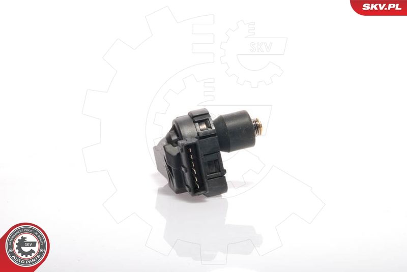ESEN SKV 08SKV201 Idle Control Valve, air supply