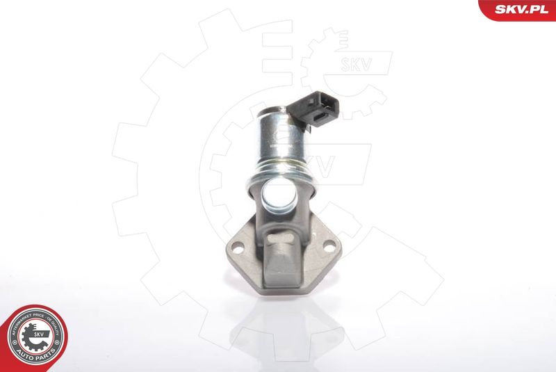 ESEN SKV 08SKV224 Idle Control Valve, air supply