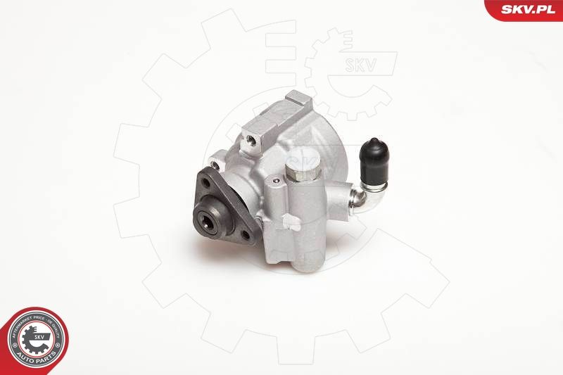 ESEN SKV 10SKV003 Hydraulic Pump, steering