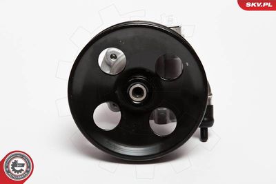 Hydraulic Pump, steering ESEN SKV 10SKV006