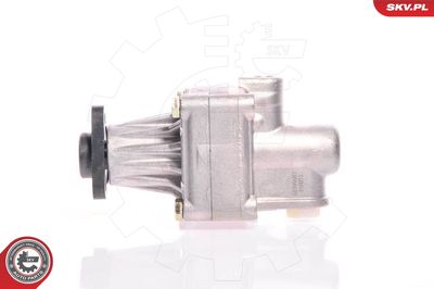 Hydraulic Pump, steering ESEN SKV 10SKV011