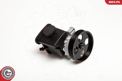 Hydraulic Pump, steering ESEN SKV 10SKV029