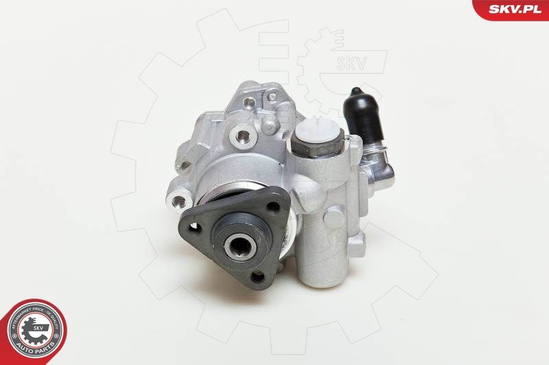 ESEN SKV 10SKV049 Hydraulic Pump, steering