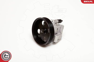 Hydraulic Pump, steering ESEN SKV 10SKV050