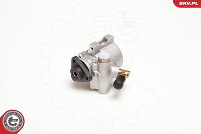 Hydraulic Pump, steering ESEN SKV 10SKV053