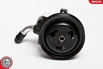 Hydraulic Pump, steering ESEN SKV 10SKV065