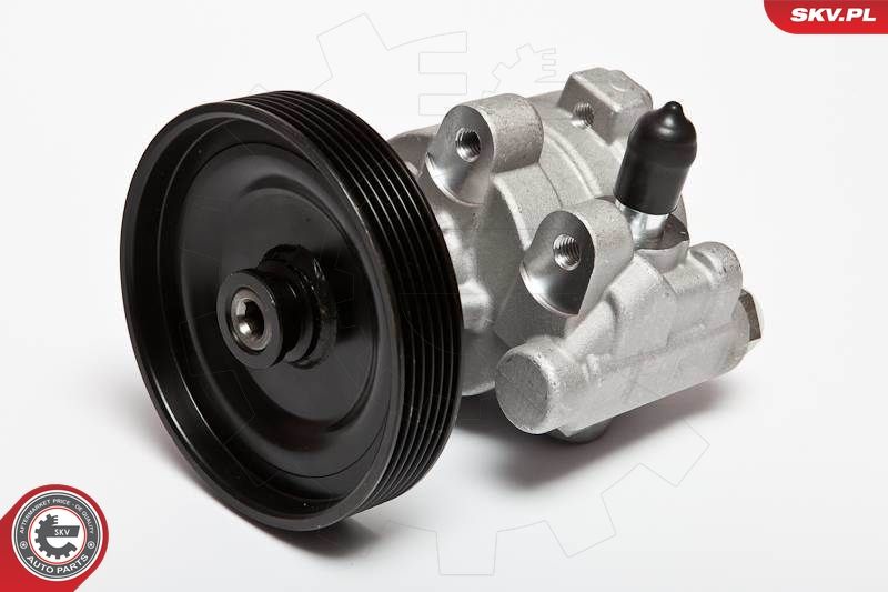 ESEN SKV 10SKV068 Hydraulic Pump, steering
