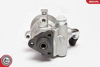Hydraulic Pump, steering ESEN SKV 10SKV071