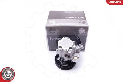 Hydraulic Pump, steering ESEN SKV 10SKV077