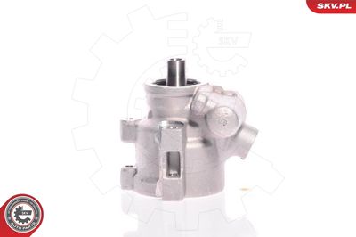 Hydraulic Pump, steering ESEN SKV 10SKV080