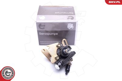 Hydraulic Pump, steering ESEN SKV 10SKV082