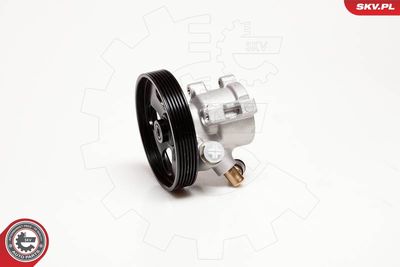 Hydraulic Pump, steering ESEN SKV 10SKV086