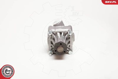Hydraulic Pump, steering ESEN SKV 10SKV087