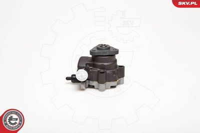 Hydraulic Pump, steering ESEN SKV 10SKV095