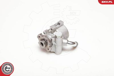 Hydraulic Pump, steering ESEN SKV 10SKV096