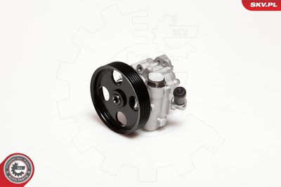 Hydraulic Pump, steering ESEN SKV 10SKV098