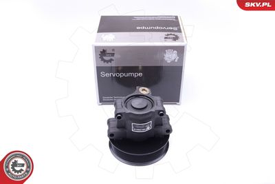 Hydraulic Pump, steering ESEN SKV 10SKV101