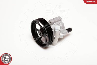 Hydraulic Pump, steering ESEN SKV 10SKV115