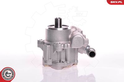 Hydraulic Pump, steering ESEN SKV 10SKV117