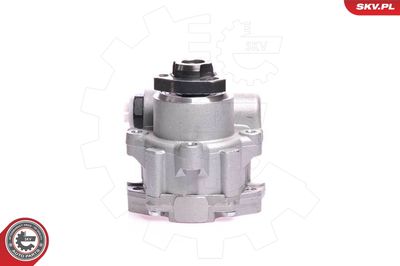 Hydraulic Pump, steering ESEN SKV 10SKV121