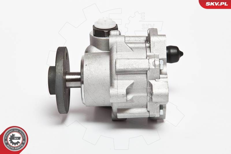 ESEN SKV 10SKV123 Hydraulic Pump, steering