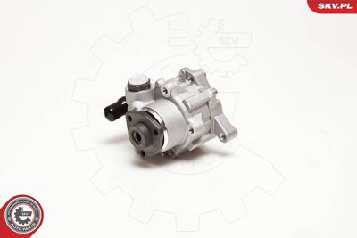 Hydraulic Pump, steering ESEN SKV 10SKV124