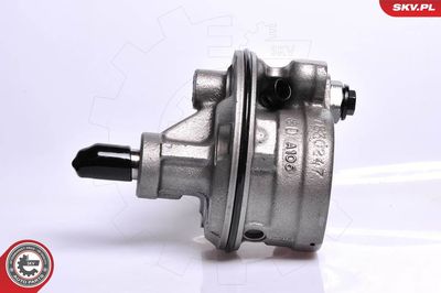 Hydraulic Pump, steering ESEN SKV 10SKV128