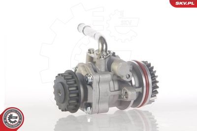 Hydraulic Pump, steering ESEN SKV 10SKV131