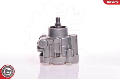Hydraulic Pump, steering ESEN SKV 10SKV132