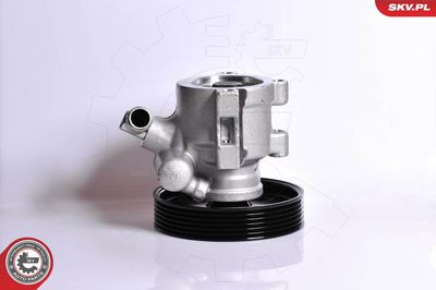Hydraulic Pump, steering ESEN SKV 10SKV138