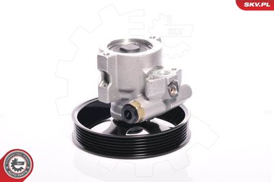Hydraulic Pump, steering ESEN SKV 10SKV143