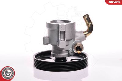 Hydraulic Pump, steering ESEN SKV 10SKV155