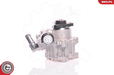 Hydraulic Pump, steering ESEN SKV 10SKV161