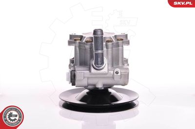 Hydraulic Pump, steering ESEN SKV 10SKV169