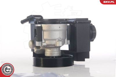 Hydraulic Pump, steering ESEN SKV 10SKV171